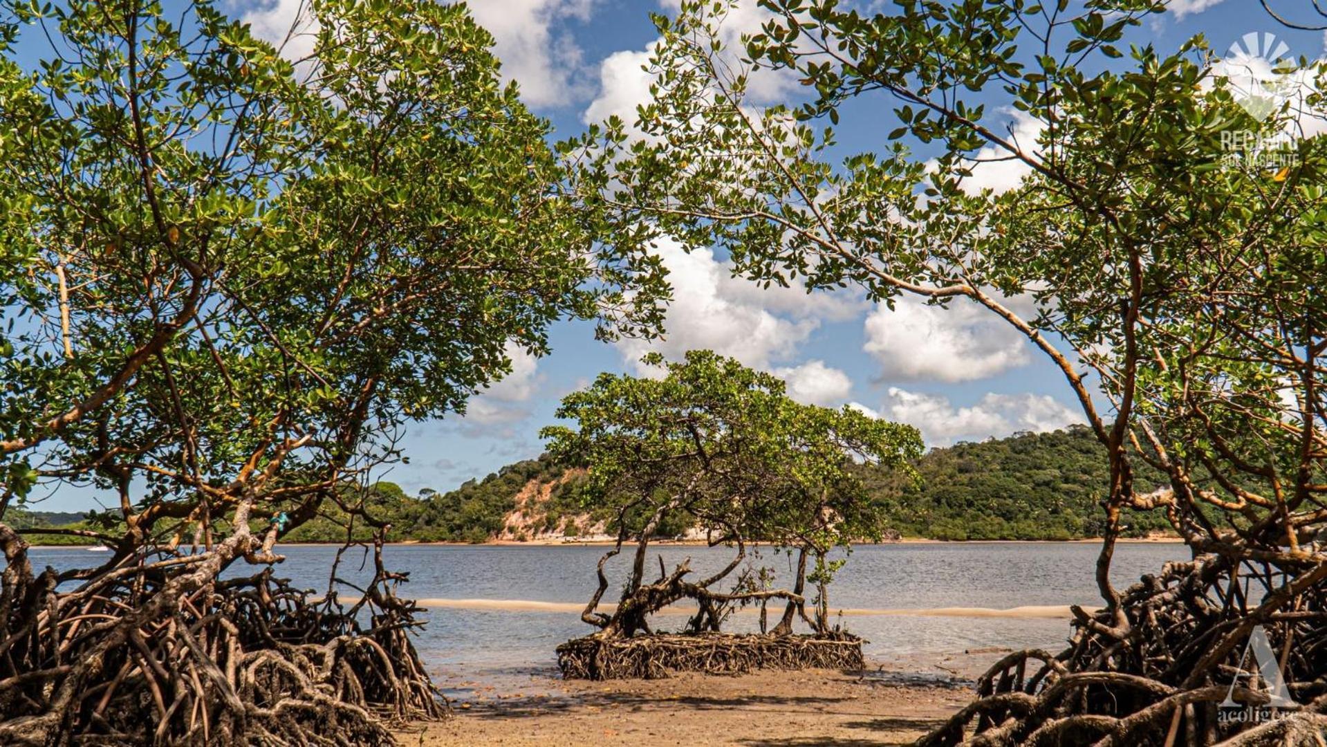 מלון Rio Formoso Pousada Recanto Sol Nascente, Luxo E Proximidade Com A Natureza מראה חיצוני תמונה