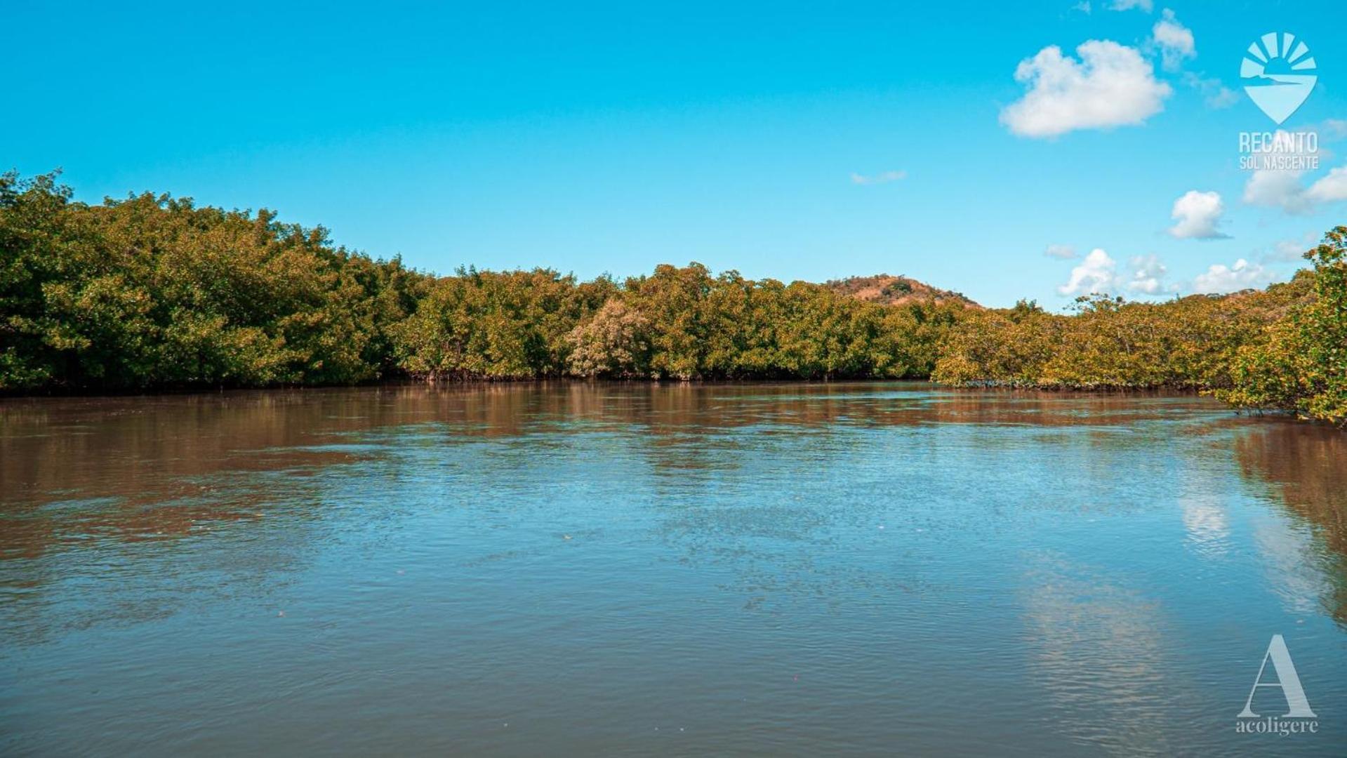 מלון Rio Formoso Pousada Recanto Sol Nascente, Luxo E Proximidade Com A Natureza מראה חיצוני תמונה